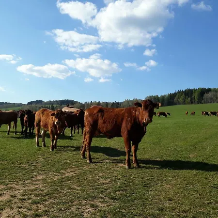 Happy * Černý Dŭl